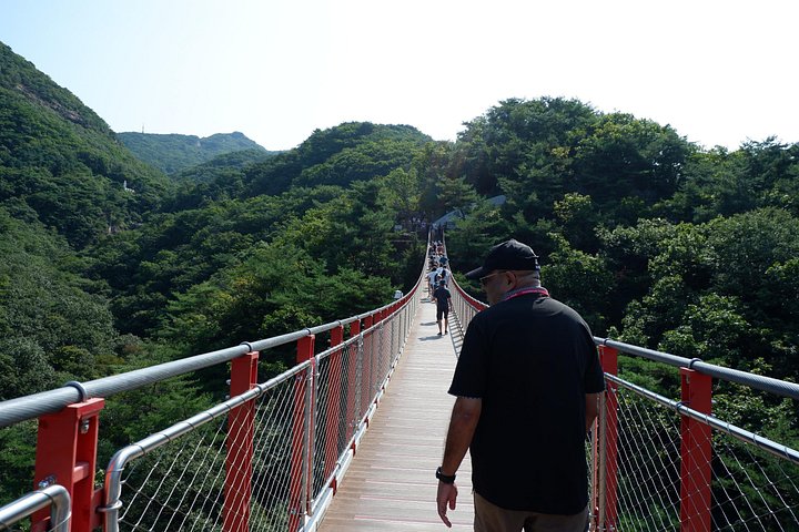 Toeristen verkennen de Gedemilitariseerde Zone (DMZ) in Zuid-Korea, inclusief tunnels en observatoria, foto 6 | wizardtrip
