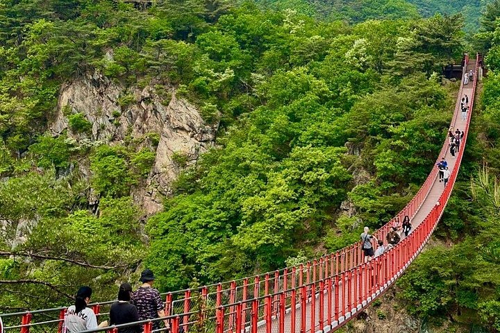 Toeristen verkennen de Gedemilitariseerde Zone (DMZ) in Zuid-Korea, inclusief tunnels en observatoria, foto 25 | wizardtrip