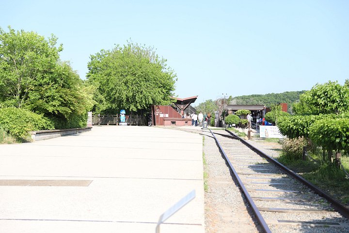 A guided tour exploring the historical sites of the Korean DMZ, including tunnels and observatories, photo 11 | wizardtrip