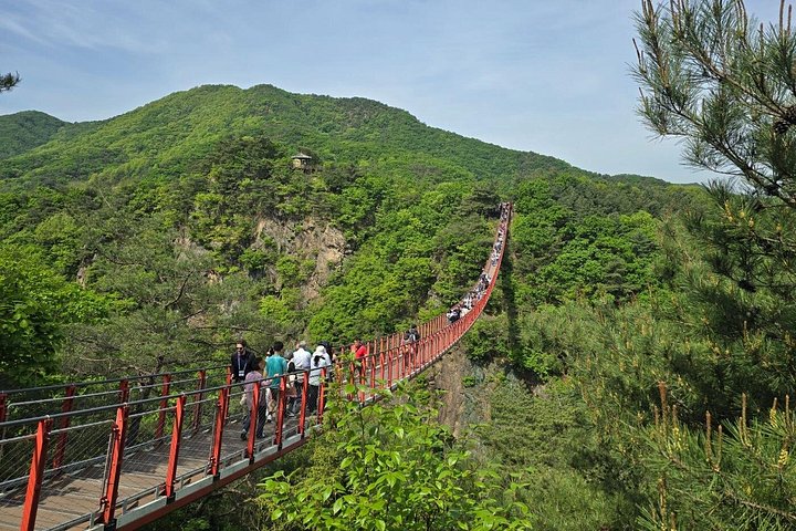 A guided tour exploring the historical sites of the Korean DMZ, including tunnels and observatories, photo 35 | wizardtrip