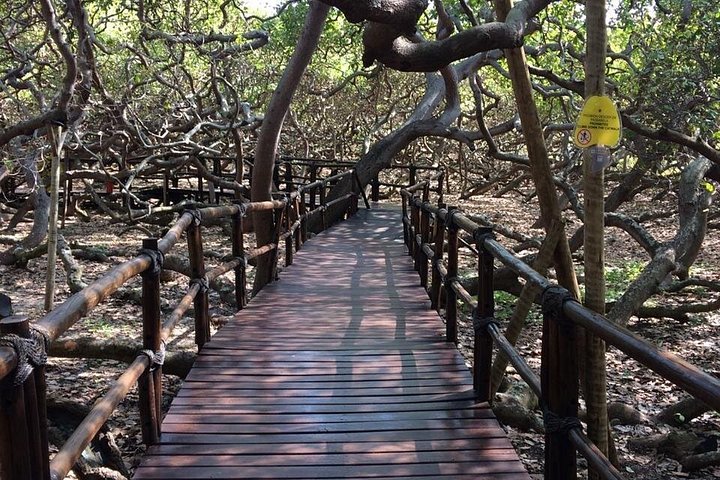 City tour panorámico de Natal, Brasil, con playas, sitios históricos y monumentos naturales, foto 8 | wizardtrip