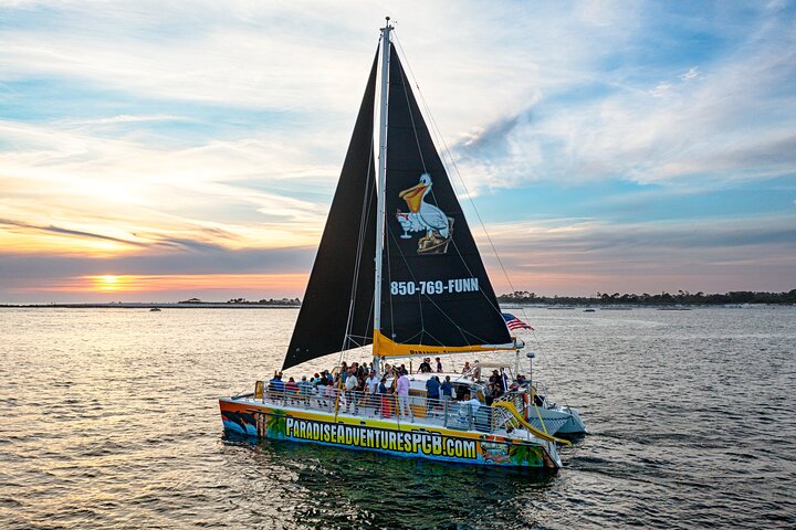 Solnedgang med delfinsafari på Privateer-katamaranen | wizardtrip