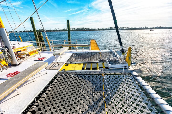 Genießen Sie eine romantische Sonnenuntergangs-Delfin-Segeltour auf einem Katamaran in Panama City Beach, Foto 8 | wizardtrip