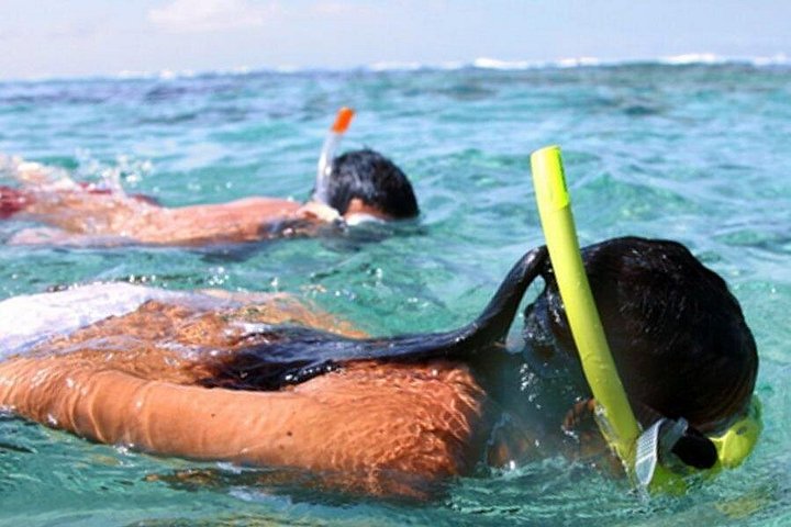 Nyd en 3-timers oppustelig vandpark og delfinsafari-tur fra Panama City Beach, foto 13 | wizardtrip
