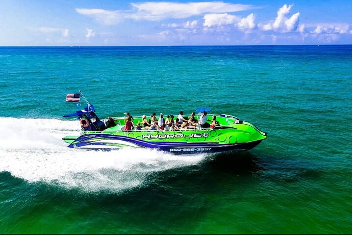 Delfinture i Destin FL | wizardtrip