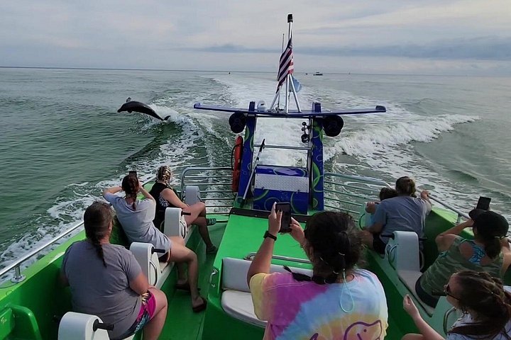 Snelle boottocht om dolfijnen en zeeleven te spotten in Destin, Florida, foto 8 | wizardtrip