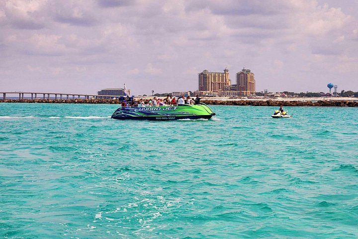 Snelle boottocht om dolfijnen en zeeleven te spotten in Destin, Florida, foto 12 | wizardtrip