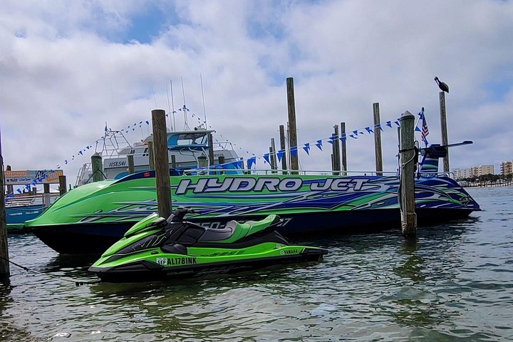 Snelle boottocht om dolfijnen en zeeleven te spotten in Destin, Florida, foto 13 | wizardtrip