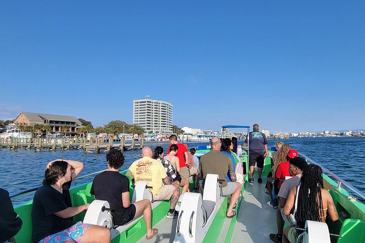 Snelle boottocht om dolfijnen en zeeleven te spotten in Destin, Florida, foto 14 | wizardtrip