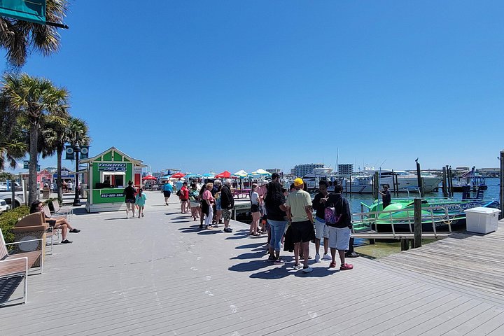 Snelle boottocht om dolfijnen en zeeleven te spotten in Destin, Florida, foto 18 | wizardtrip