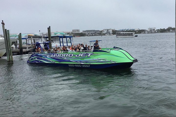 Snelle boottocht om dolfijnen en zeeleven te spotten in Destin, Florida, foto 22 | wizardtrip
