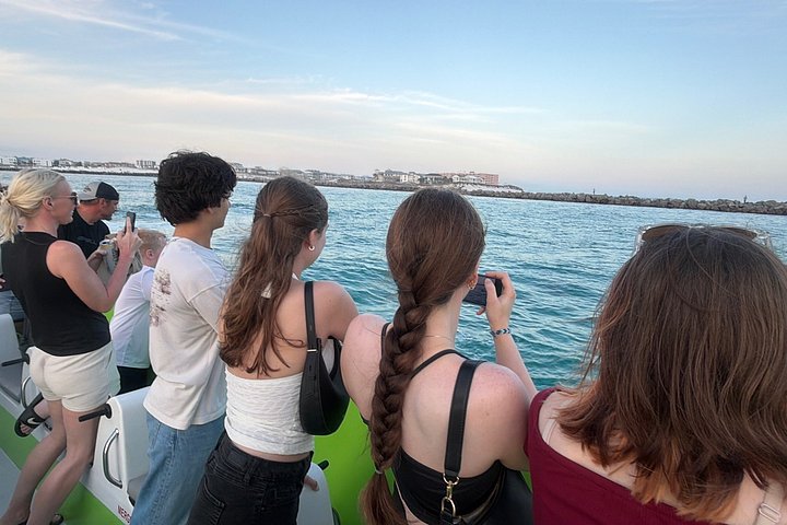 Snelle boottocht om dolfijnen en zeeleven te spotten in Destin, Florida, foto 23 | wizardtrip