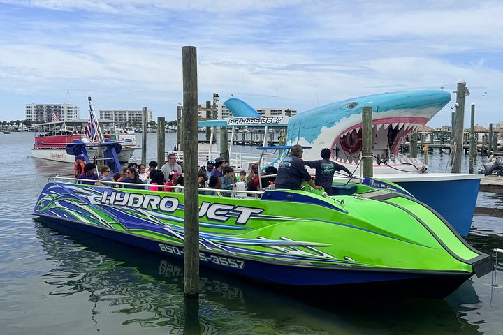 Snelle boottocht om dolfijnen en zeeleven te spotten in Destin, Florida, foto 25 | wizardtrip