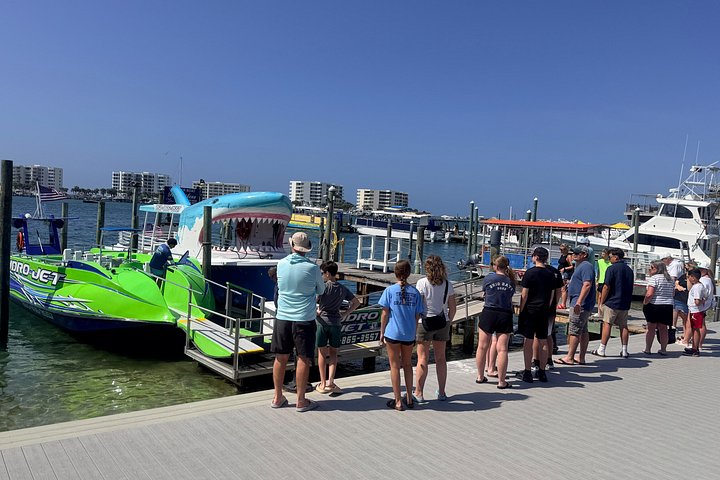 Snelle boottocht om dolfijnen en zeeleven te spotten in Destin, Florida, foto 26 | wizardtrip