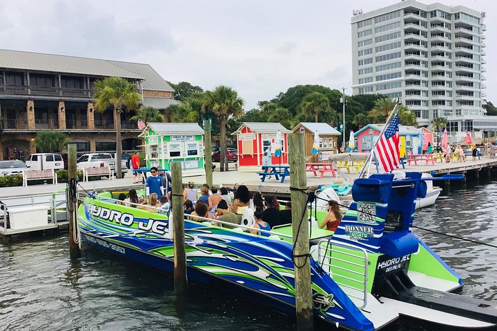Snelle boottocht om dolfijnen en zeeleven te spotten in Destin, Florida, foto 29 | wizardtrip