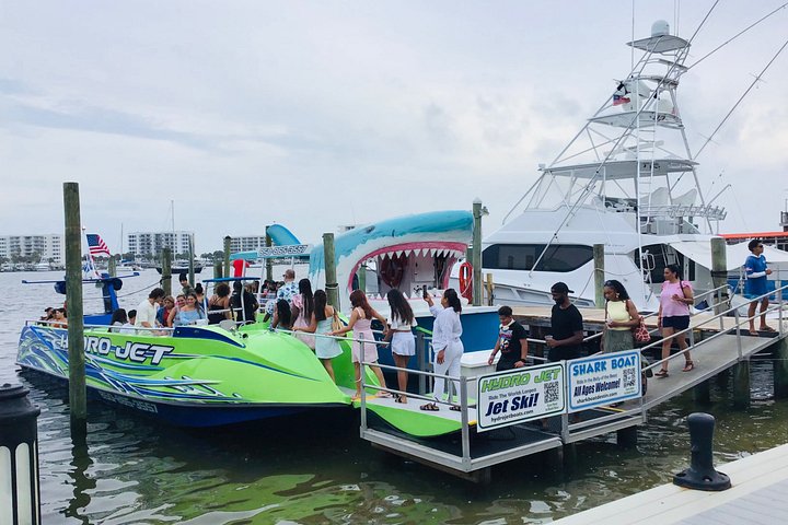 Snelle boottocht om dolfijnen en zeeleven te spotten in Destin, Florida, foto 30 | wizardtrip