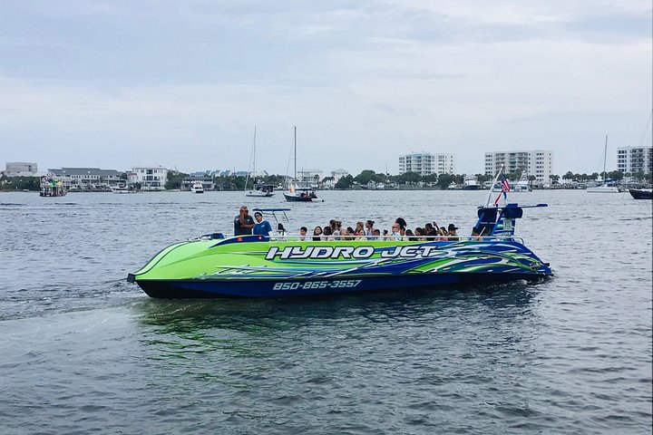 Snelle boottocht om dolfijnen en zeeleven te spotten in Destin, Florida, foto 32 | wizardtrip