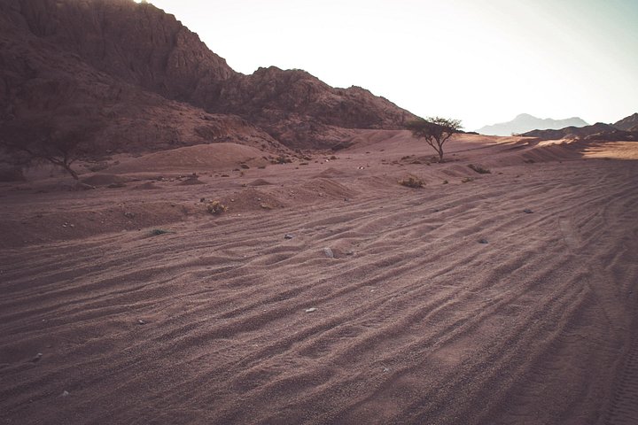 Vivi un'emozionante avventura in quad ATV nel deserto di Sharm El Sheikh, con campo beduino, cena e osservazione delle stelle, foto 9 | wizardtrip