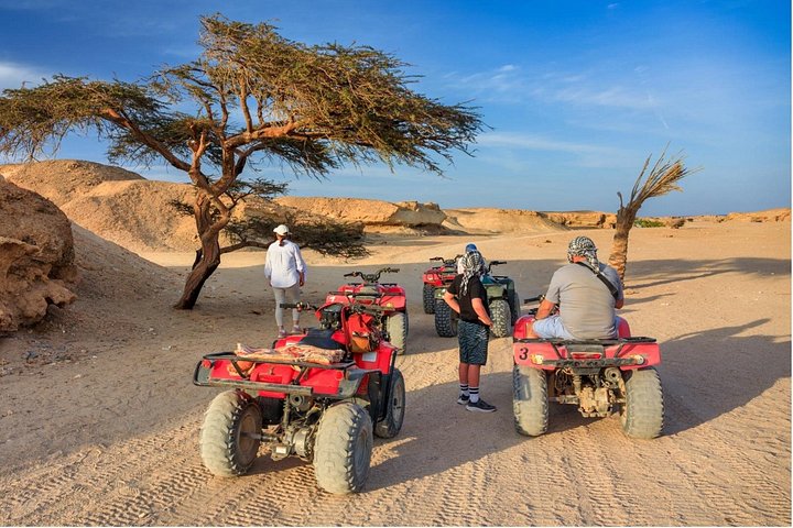 Vivi un'emozionante avventura in quad ATV nel deserto di Sharm El Sheikh, con campo beduino, cena e osservazione delle stelle, foto 12 | wizardtrip