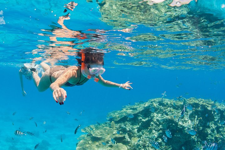Jeepäventyr till Blue Hole, Canyon och Dahab från Sharm El Sheikh, Egypten, foto 11 | wizardtrip