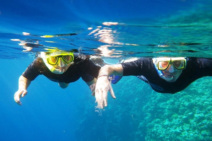 Jeepäventyr till Blue Hole, Canyon och Dahab från Sharm El Sheikh, Egypten, foto 14 | wizardtrip