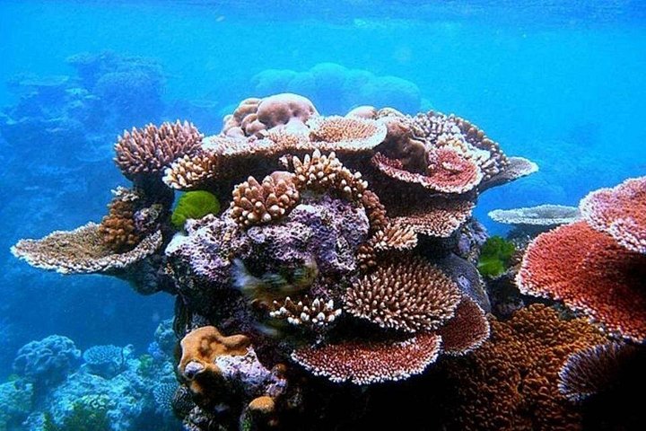 Jeepäventyr till Blue Hole, Canyon och Dahab från Sharm El Sheikh, Egypten, foto 15 | wizardtrip