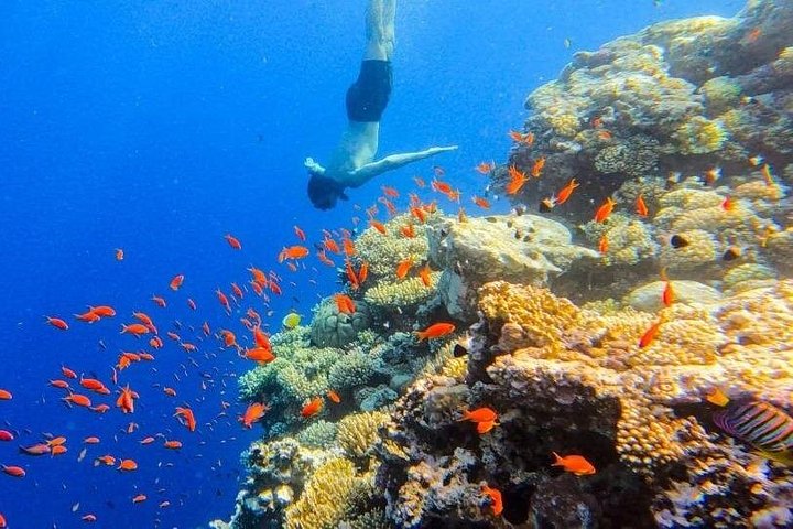 Jeepäventyr till Blue Hole, Canyon och Dahab från Sharm El Sheikh, Egypten, foto 16 | wizardtrip