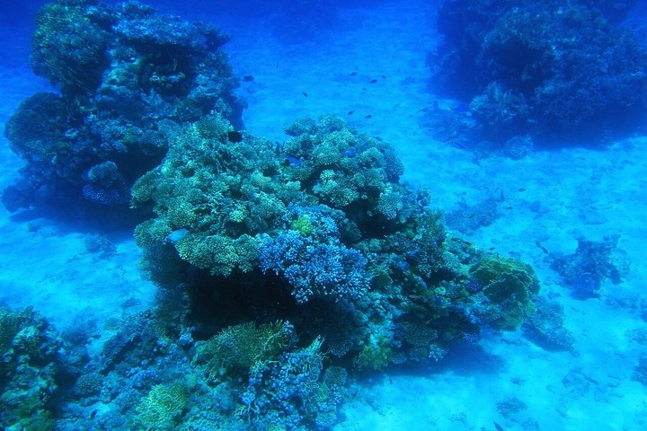 Jeepäventyr till Blue Hole, Canyon och Dahab från Sharm El Sheikh, Egypten, foto 18 | wizardtrip