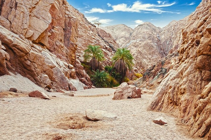 Jeepäventyr till Blue Hole, Canyon och Dahab från Sharm El Sheikh, Egypten, foto 20 | wizardtrip