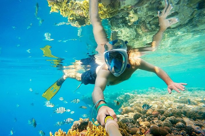 Jeepäventyr till Blue Hole, Canyon och Dahab från Sharm El Sheikh, Egypten, foto 24 | wizardtrip