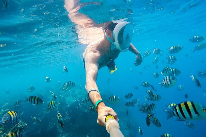 Jeepäventyr till Blue Hole, Canyon och Dahab från Sharm El Sheikh, Egypten, foto 25 | wizardtrip