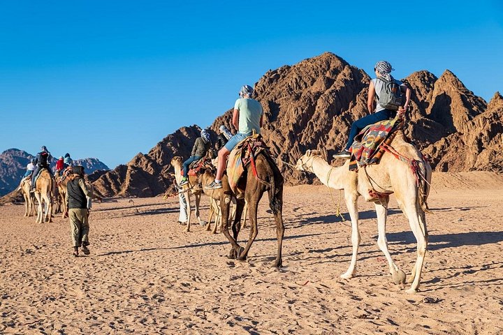 Jeepäventyr till Blue Hole, Canyon och Dahab från Sharm El Sheikh, Egypten, foto 30 | wizardtrip