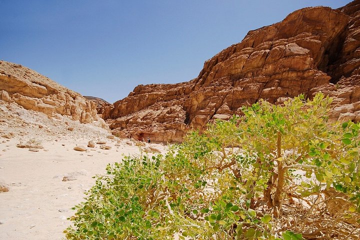 Jeepäventyr till Blue Hole, Canyon och Dahab från Sharm El Sheikh, Egypten, foto 31 | wizardtrip
