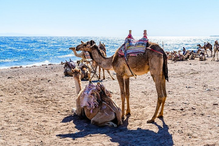 Jeepäventyr till Blue Hole, Canyon och Dahab från Sharm El Sheikh, Egypten, foto 40 | wizardtrip