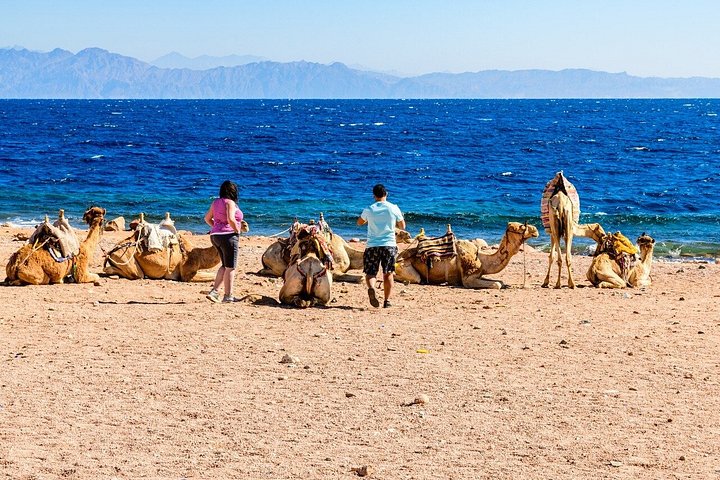 Jeepäventyr till Blue Hole, Canyon och Dahab från Sharm El Sheikh, Egypten, foto 41 | wizardtrip