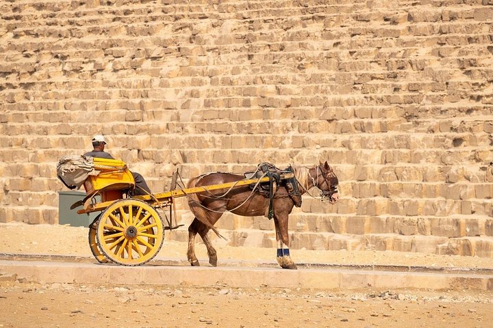 Heldagstur fra Hurghada til Cairo med udforskning af pyramiderne, Sfinksen og egyptiske museer, foto 27 | wizardtrip