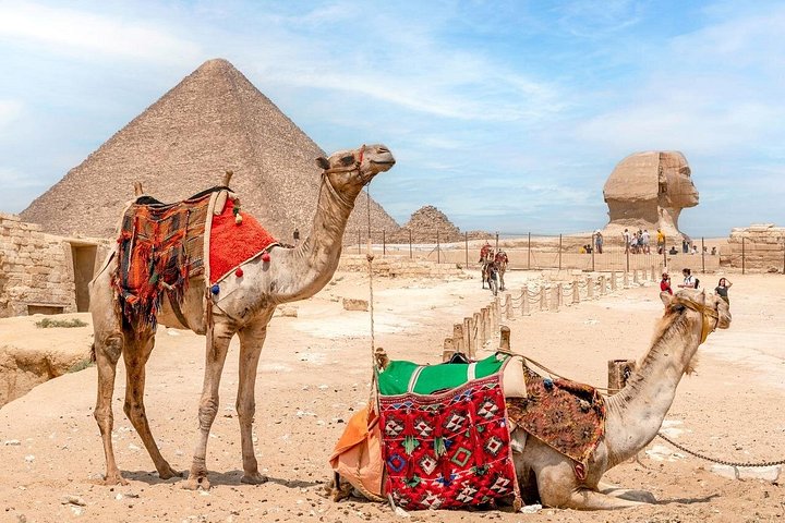 Heldagstur fra Hurghada til Cairo med udforskning af pyramiderne, Sfinksen og egyptiske museer, foto 31 | wizardtrip