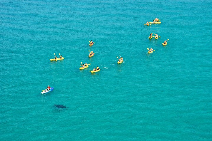 Kajak-Abenteuer mit Delfinen und 4WD-Tour im Noosa Great Sandy National Park, Foto 7 | wizardtrip