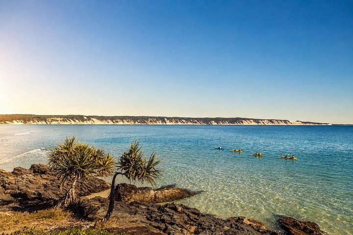 Kajak-Abenteuer mit Delfinen und 4WD-Tour im Noosa Great Sandy National Park, Foto 9 | wizardtrip