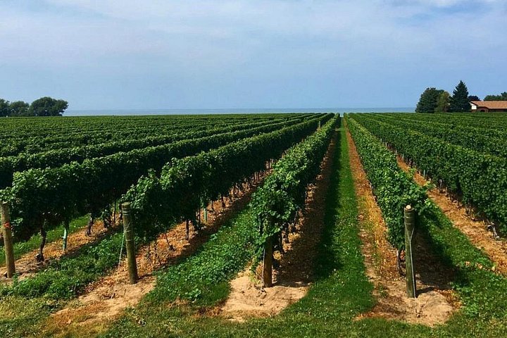 Weinprobe-Tour in Niagara-on-the-Lake, Kanada, mit Weingütern und lokalem Charme, Foto 7 | wizardtrip