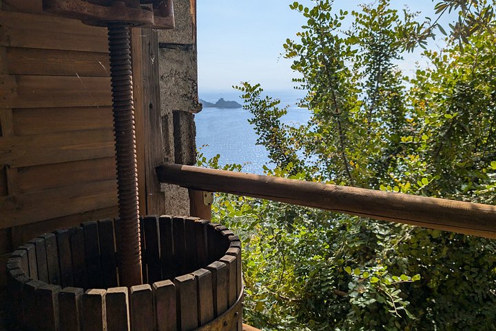Authentisches italienisches Kocherlebnis mit einer lokalen Familie in Praiano, Amalfiküste, mit frischen Zutaten und malerischer Aussicht, Foto 17 | wizardtrip