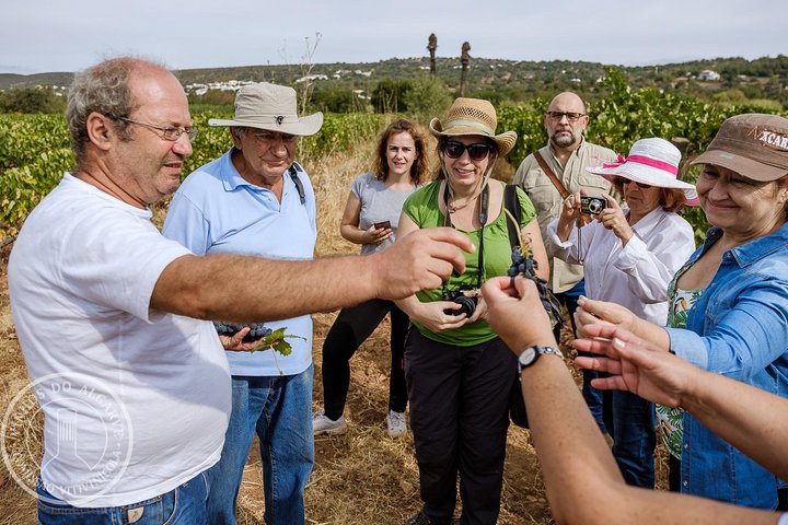 Tour & Weinprobe – Authentische Algarve-Aromen von Quinta da Tôr | wizardtrip