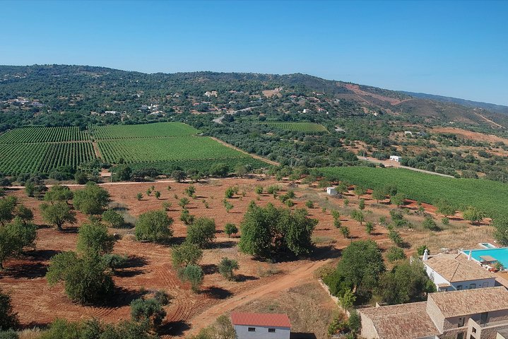 Weinprobe und Weinbergführung in Faro, Portugal, mit lokalen Weinen und malerischen Ausblicken, Foto 6 | wizardtrip