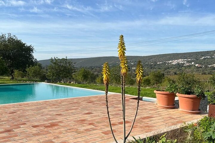 Weinprobe und Weinbergführung in Faro, Portugal, mit lokalen Weinen und malerischen Ausblicken, Foto 12 | wizardtrip