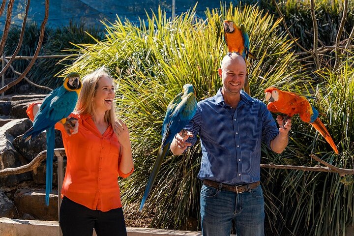 Bilhete para Experiência no Aviário de Maleny Botanic Gardens | wizardtrip