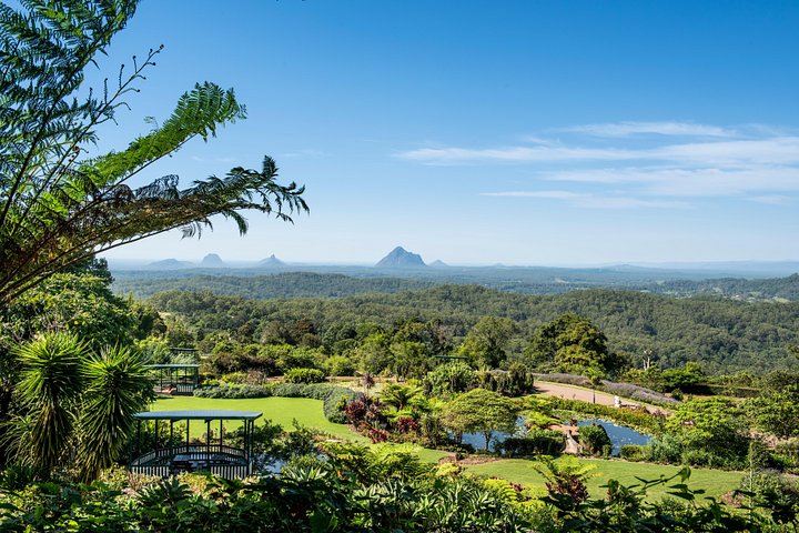 Utforsk Maleny Botanic Gardens og fugleinnhegningen, med innfødte og eksotiske fugler midt i fantastisk natur, foto 8 | wizardtrip
