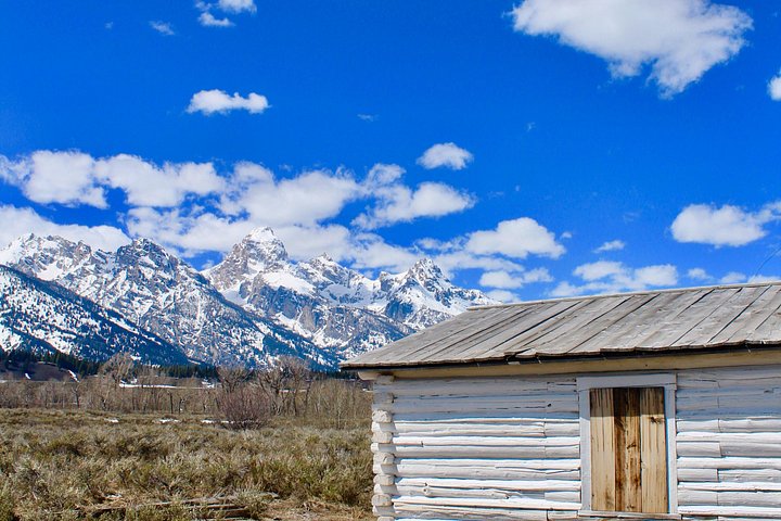 Scenic views and wildlife spotting in Grand Teton National Park, Jackson, photo 9 | wizardtrip