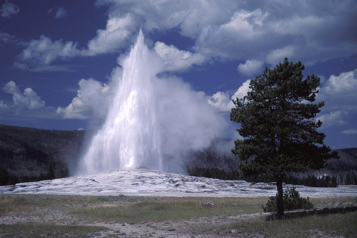 Yellowstone nasjonalpark Lower Loop-tur med geysirer, varme kilder, fossefall og dyreliv, foto 9 | wizardtrip