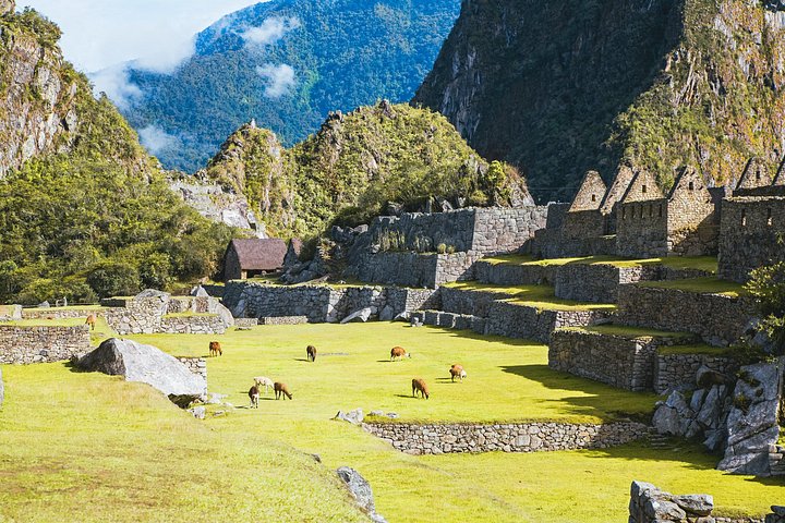 Ganztägige Tour nach Machu Picchu ab Cusco, inklusive Zug und Eintrittskarten, Foto 26 | wizardtrip