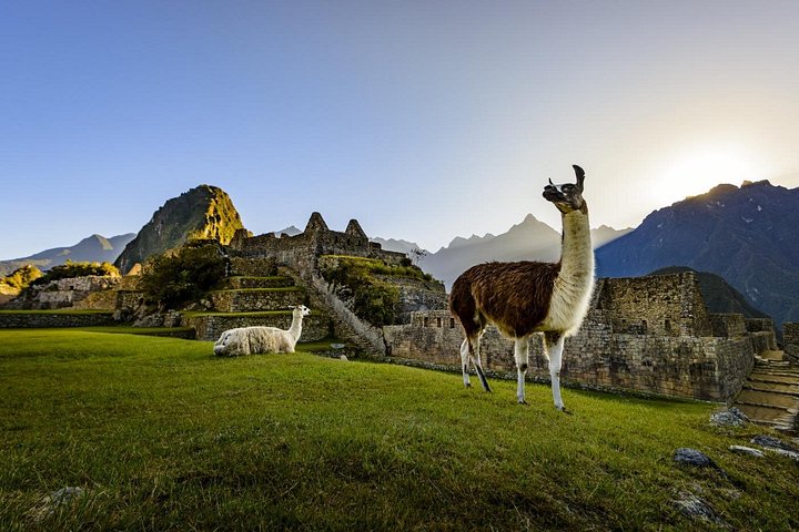 Ganztägige Tour nach Machu Picchu ab Cusco, inklusive Zug und Eintrittskarten, Foto 28 | wizardtrip